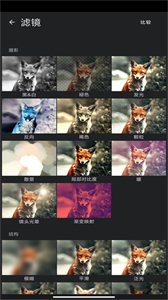 Painter筆刷
