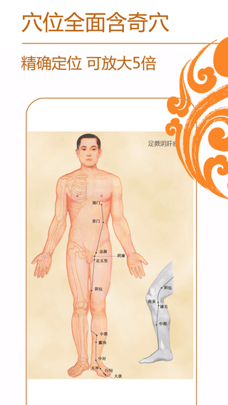 經(jīng)絡(luò)養(yǎng)生手機(jī)版截圖