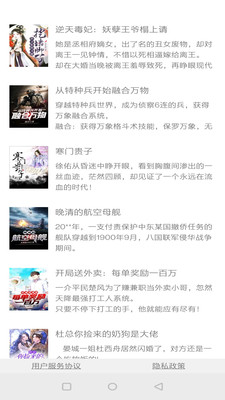 鎮(zhèn)國小說