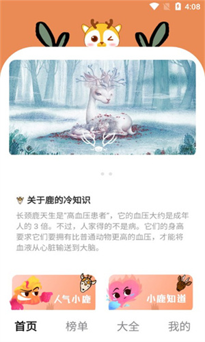 小鹿趣看