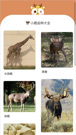 小鹿趣看截圖