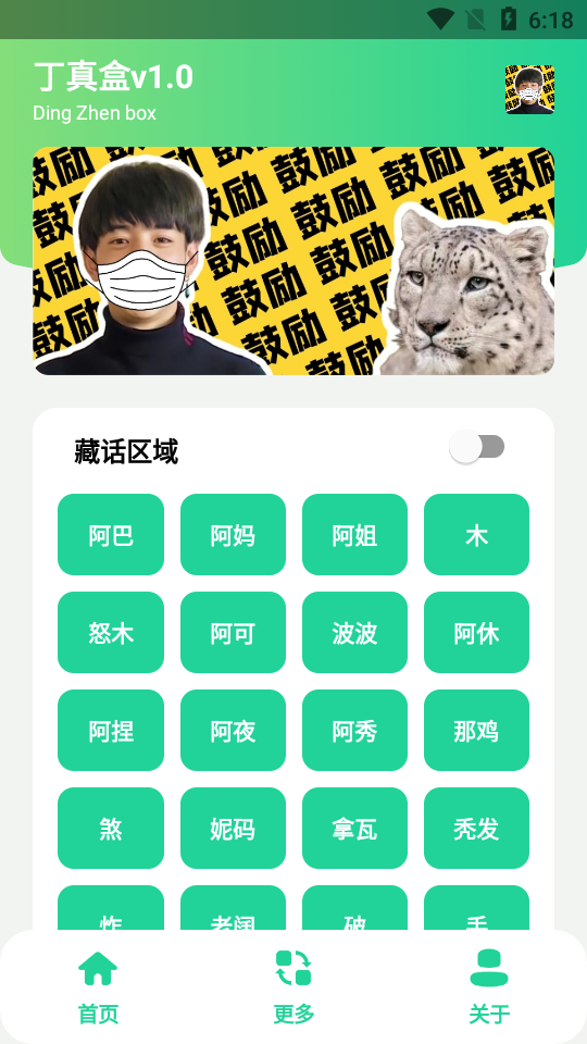 丁真盒6.0截圖