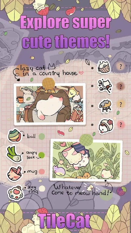 瓷磚貓