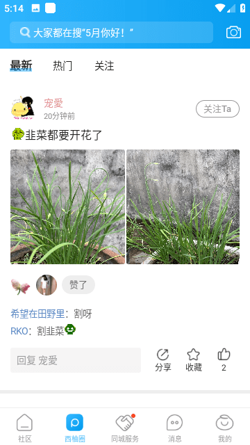 西子湖畔截圖