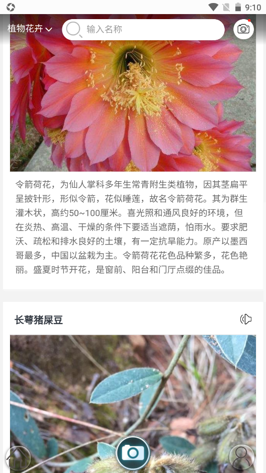 行色識(shí)花手機(jī)版截圖