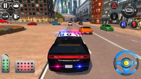 警察追捕模擬器3D