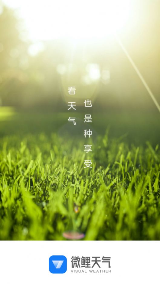 微鯉天氣歷史版本截圖