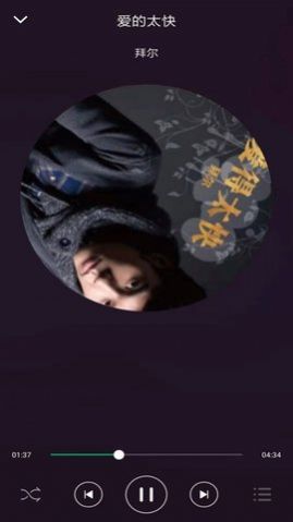至簡(jiǎn)音樂(lè)播放器官方版截圖