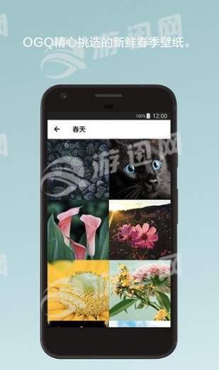 ogq壁紙hd手機版截圖