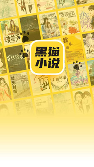 黑貓小說 去廣告截圖