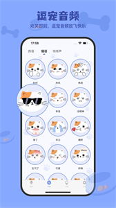 小白交流翻譯截圖
