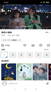 大海視頻官方版截圖
