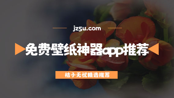 手機(jī)壁紙應(yīng)用軟件哪個好-免費(fèi)壁紙神器app推薦