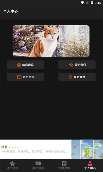 喵喵之家安卓版
