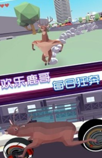 原始动物之进化截图