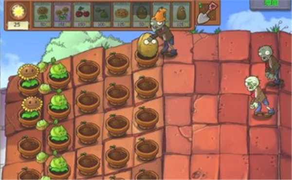 植物大战僵尸RF版