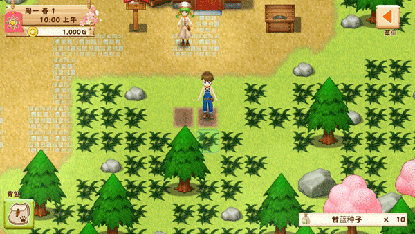 牧场物语希望之光截图