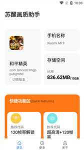 蘇醒畫質(zhì)大師