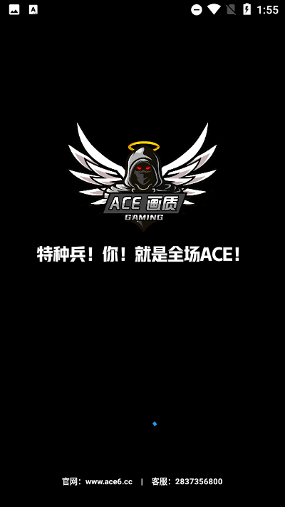 ace画质助手国际服截图2