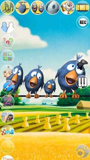 會(huì)說話的鳥兒