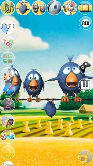 會(huì)說話的鳥兒截圖