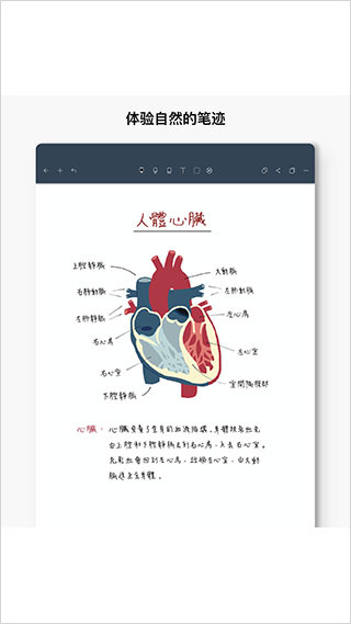 noteshelf2022