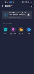 audioeditor