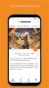 3dmark专业版截图