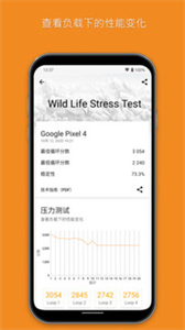 3dmark专业版截图