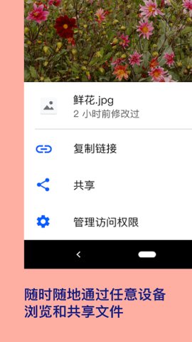 Dropbox安卓版