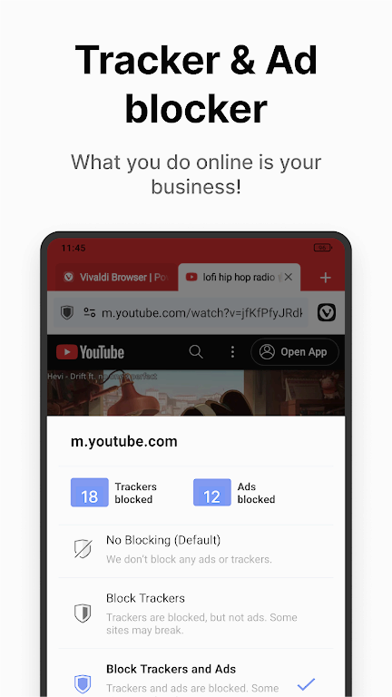 vivaldi浏览器截图