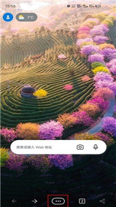 微軟瀏覽器國際版