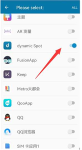 Dynamic Spot pro