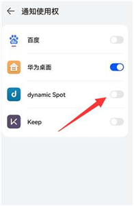 Dynamic Spot pro