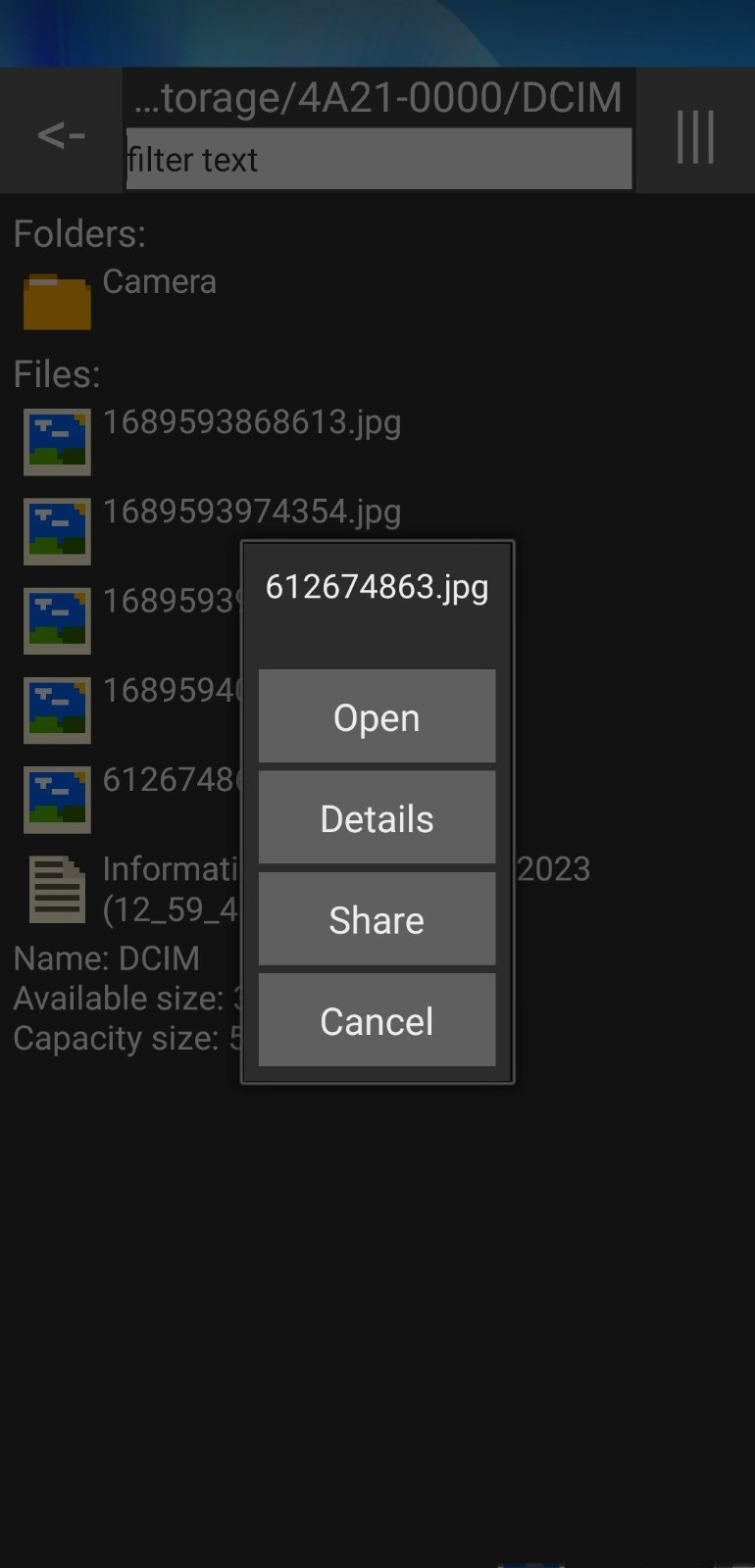 Little File Explorer截图