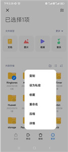 DS file