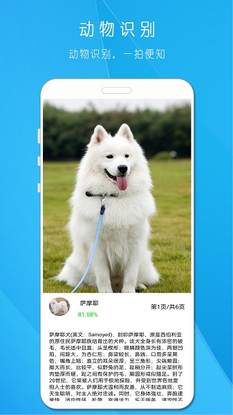 拍照識(shí)萬物