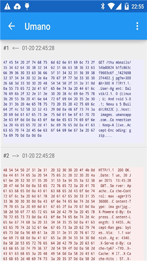 Packet Capture截图2