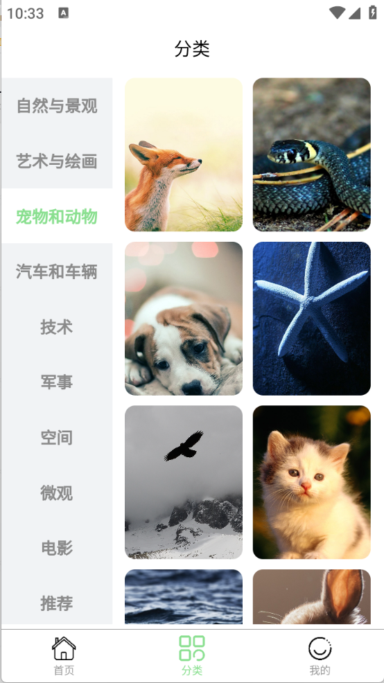 每日淘壁紙截圖