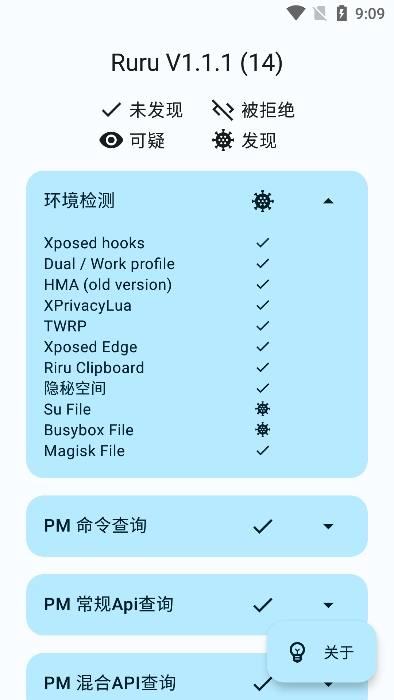 ruru检测器截图1