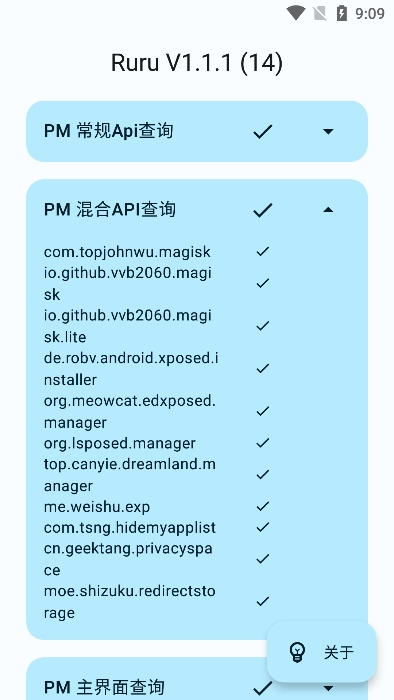 ruru检测器截图3