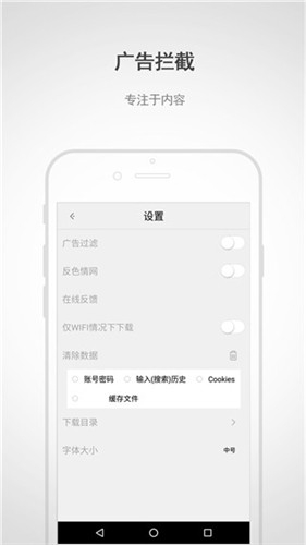閃電瀏覽器截圖