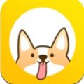 日常小打卡