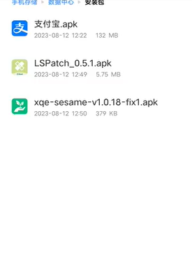 lspatch截圖