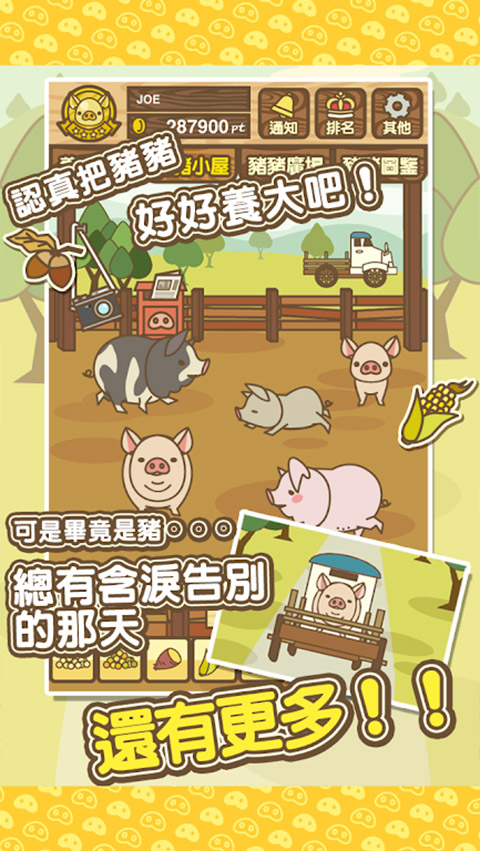 養(yǎng)豬場(chǎng)mix截圖