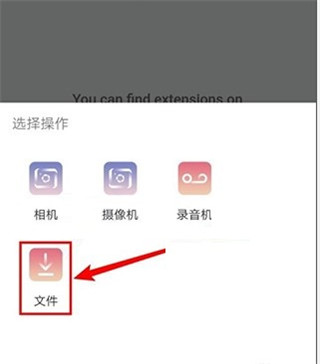 kiwibrowser