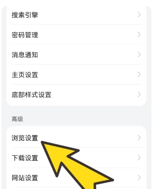 啵啵瀏覽器海外谷歌版
