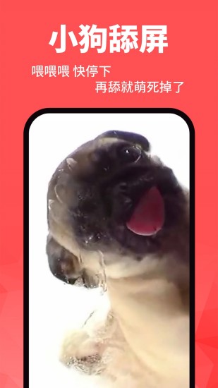 動態(tài)壁紙精靈截圖
