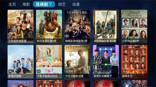 TVBOX助手