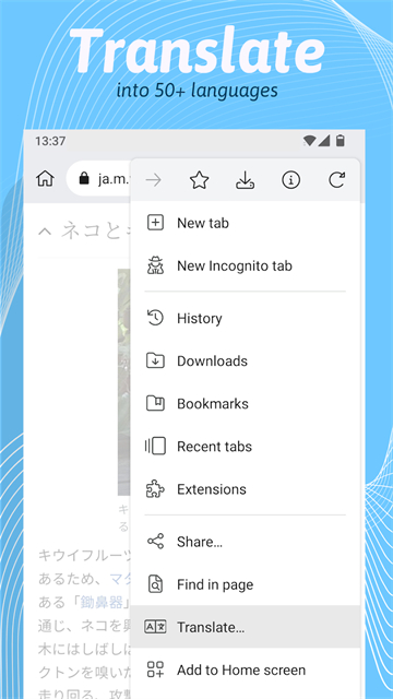 Kiwi Browser